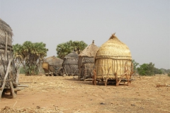 capanne Niger-min